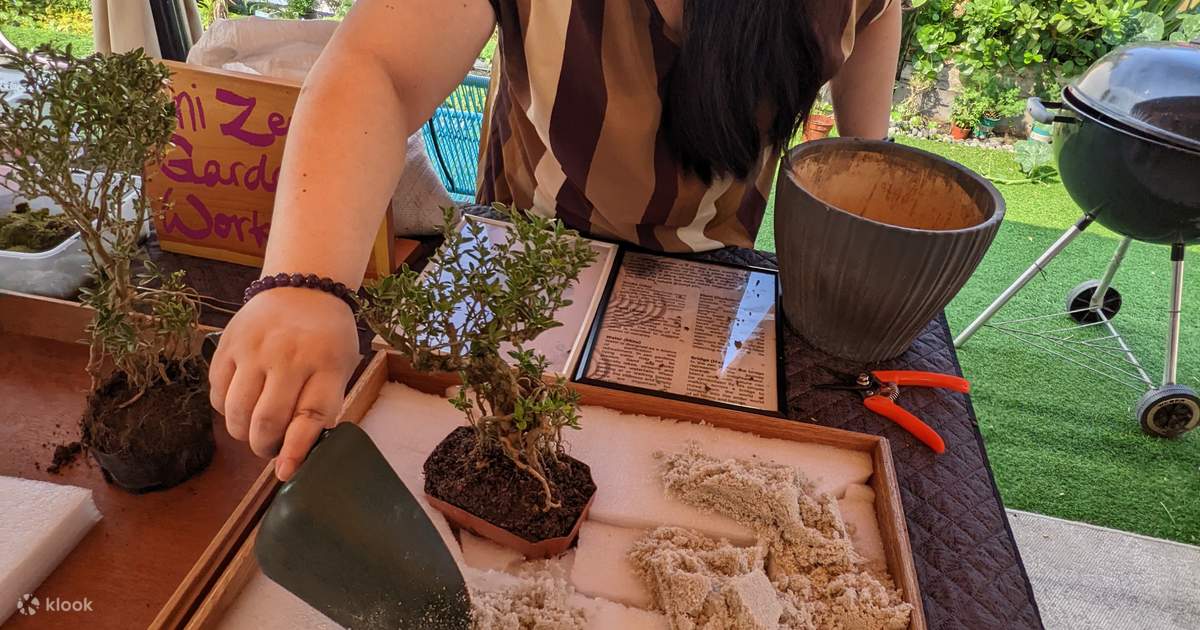 Mini Zen Garden And Mini Treehouse Workshop Klook